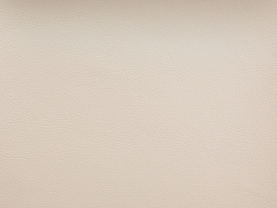 水性環(huán)保革